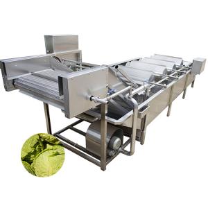 Automatic Vegetable Fruit Air Bubble Washing Machine