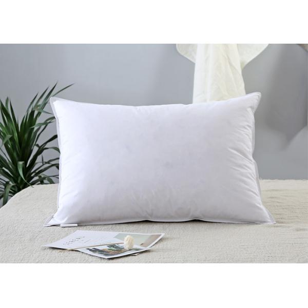 Buy 50x70cm 800gms Feather Throw Pillows Cotton Home Textiles at wholesale prices