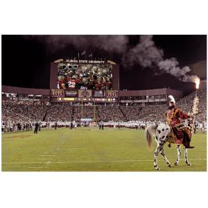 Outdoor Stadium LED Screens P8 For Live Broadcast LED screen display