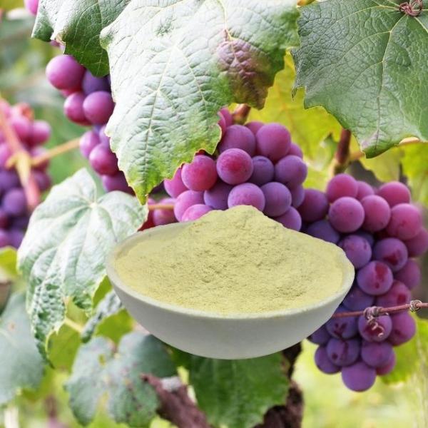 Organic Amino Acid Powder 80% Bio Organic Fertilizer For Vegetable