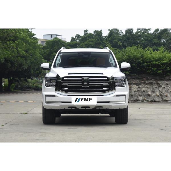 Gwm Tank 500 2024 Edition SUV Multi-function Steering Wheel and ESC for Hybrid Family Travel