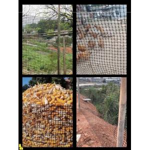 Normal Black Biaxial Geogrid Essential for Breeding Chickens Plastic Fence in