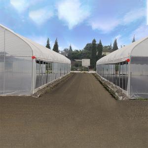 150mic PE Film Tunnel Plastic Greenhouse With Galvanized Steel Frame