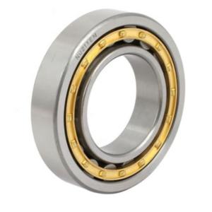 N309 NU309 NJ 309 45x100x25mm cylinder roller bearing Engineering Machinery