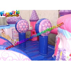 Amazing Fun Inflatable Amusement Park Princess Palace , Jumping Bouncer