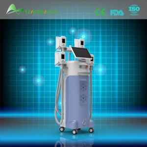 2015 multifunction lose weight 4 cryolipolysis heads 4 handls cryolipolysis