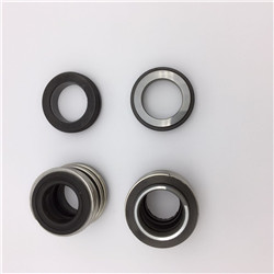 Customizable 6 Bar Pressure Water Pump Shaft Seal