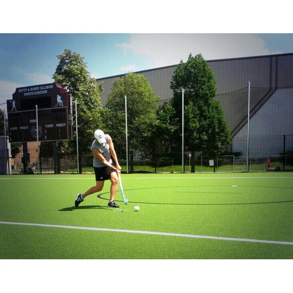 Fake Putting Green Four Season Green Pro Enviroment Plastic Easy To Clean