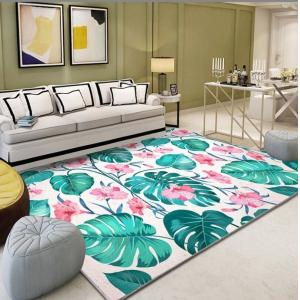Chinese Style Printed Simple Living Room Floor Carpet Special Style