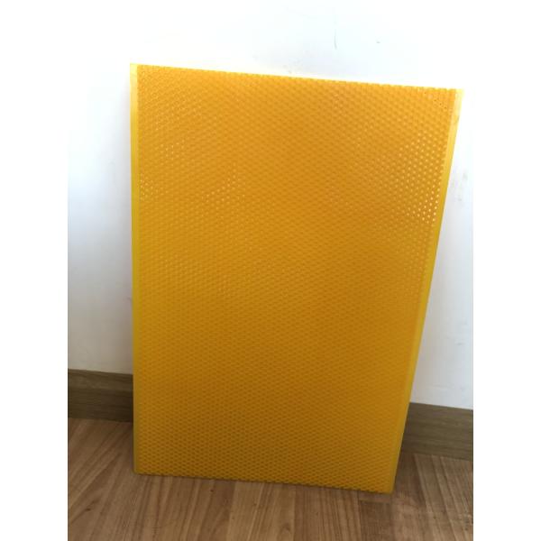 283mm Wide Plastic Foundation Sheet Bee Hive Kits Of Black And Yellow Color