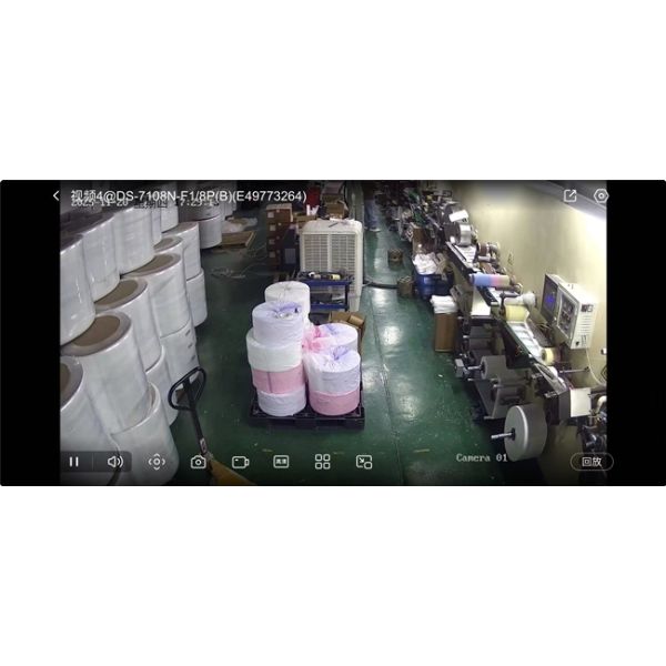 High Absorbency Ladies Sanitary Napkins with Perforated Design and Imported Fluff Pulp for Maximum Comfort