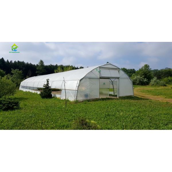 single-span film greenhouse