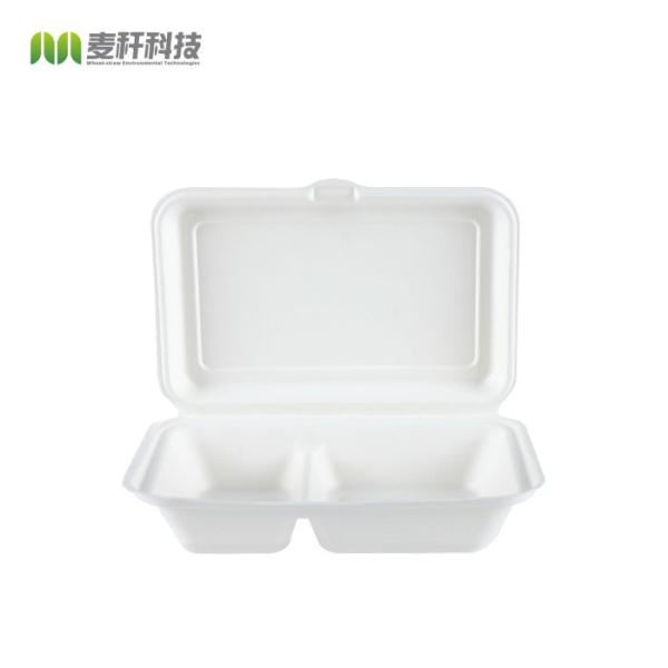 Biodegradable sugarcane Packaging Lunch Box Eco-Friendly Food Containers Meal