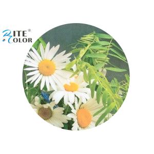 260gsm Matte Polyester Canvas Rolls