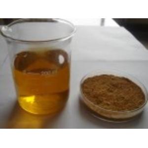 High quality olive extract antioxidant hydroxytyrosol --Olea europea L.