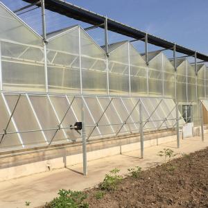 Commercial Polycarbonate Greenhouse for Versatile Vegetable Fruit and Flower