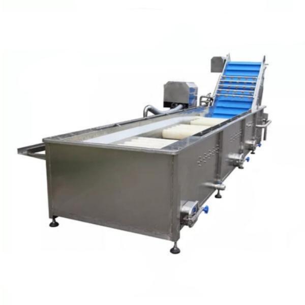 Buy Brush Roller Fruit And Vegetable Processing Machine For Michelin Starred Restaurant at wholesale prices