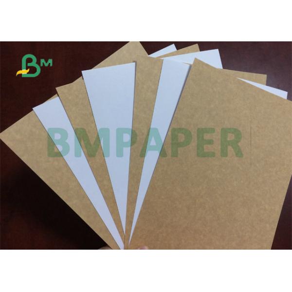 325gsm 31" High Tear Resistance Food Grade White Top Craft Cardboard For Lunch Box 