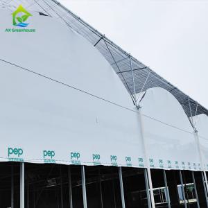 Multi Sapn Balckout Light Deprivation Greenhouse For Mushroom Growing