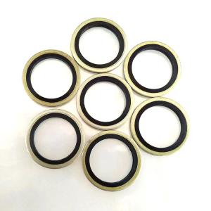 China M12 OEM Carbon Steel Nitrile Rubber O Ring Gasket Seal on sale