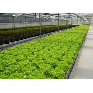Heavy Duty Windproof Commercial Hot Houses Reinforced Plastic Greenhouse