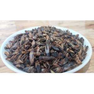 100% Natural Dried Crickets For Pet Food 100% Natural