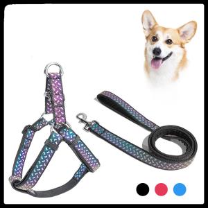 Dog Leash Pet Dog Collars Soft Neoprene Pets Accessories Reflective Exclusive