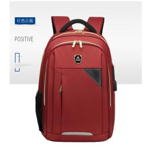 Travel And Business Side Zip Backpack , Multi Pockets 2 Zipper Backpack
