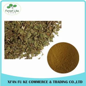 100% Natural Mullein Leaf Extract Powder 10 : 1