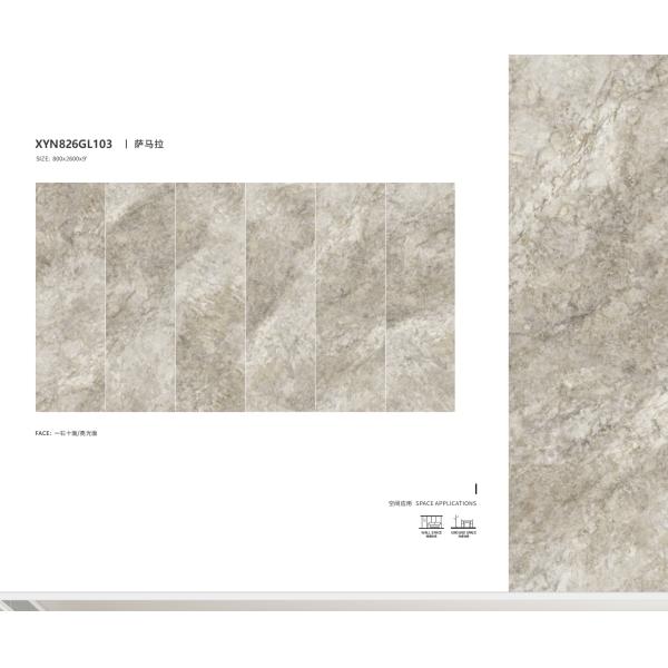 Water Absorption 0.05% PEI Rating 4 Glazed Porcelain Tile 800x2600mm for End Projects