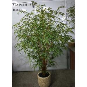 CE Artificial Decorative Trees , Artificial Bamboo Tree Lush Vibrant Leaves Real