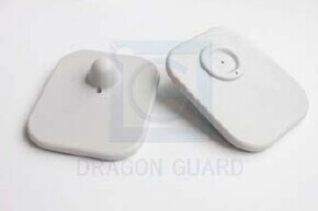 Large Square Hard Tags