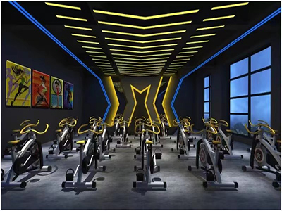 Steel Free Weight Equipment Lifting Gym Dumbbell 5/7.5/10/12.5/15/17.5/20/22.5/25kg