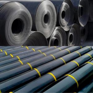 1mm HDPE Geomembrane for Fish Farm Pond Liner and Landfill Project Solution Capability