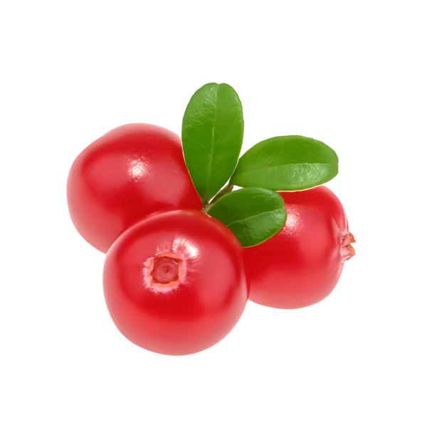 Wholesale Bulk 25% Anthocyanins Cranberry Extract Powder Cranberry Extract