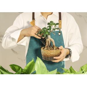Personalized Garden Work 60x80cm Waterproof Aprons For Adults