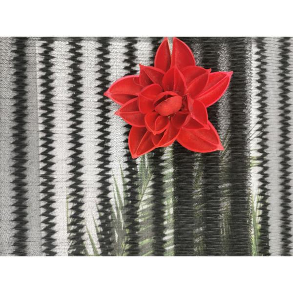 Zipper Mesh Coat Black Polyester Pleated Lace Fabric