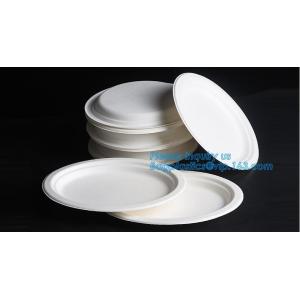 biodegradable sugarcane bagasse bowl,Food Grade Biodegradable Disposable