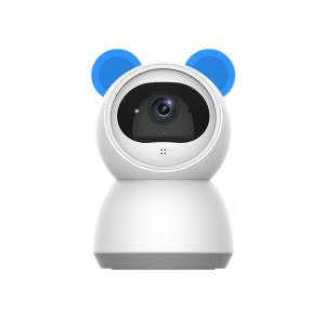Smart Wireless 1080P P&T Camera(E95A)