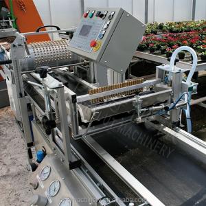 Hydroponic Sponge Seed Planter Line for Seeding Cucumbers and Squash Automatical