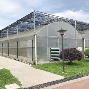 Stable Structure Industrial Plastic PE Film Multi-span Agricultural Flower House