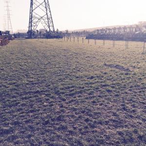 Protect Turf with 480x520mm Ground Stabilising Permeable Pavers and Plastic Car