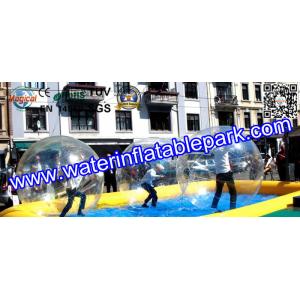 Customized Inflatable Adult Swimming Pool Slides For Entertainment