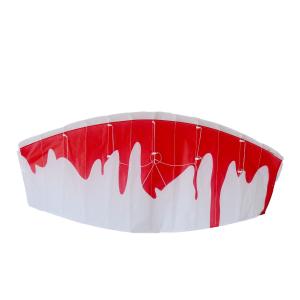 160*60cm Parafoil Stunt Kite With 2*50m String Line Oem / Odm Acceptable