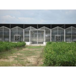 9.6m Tunnel Width Polycarbonate Greenhouse for Sustainable Agricultural