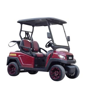 Advanced Golf Buggy Cart 2 Passenger 48V Lithium Battery With Curtis Controller