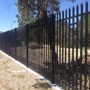 New design cheap price D type w type palisade fence for garden and industry