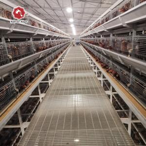 Featuring Four Tiers Ventilated Automatic Layer Cage System For 120 Birds In