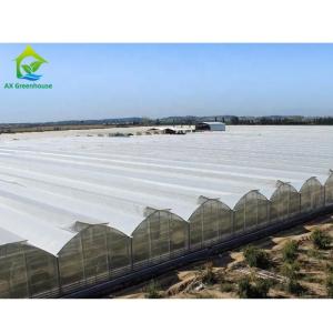 Hot Galvanized Steel Structure Plastic Film Greenhouses Multi Span Agricultural