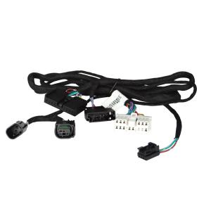 Electric Automotive Wire Harness Assembly Loom Custom Tailgate Wiring Harness